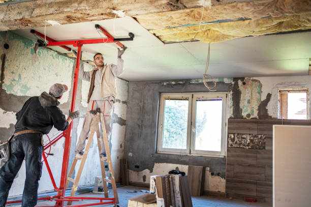 Best Spray Foam Insulation  in Beecher, IL