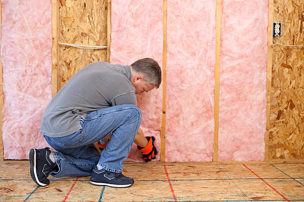 Trusted Beecher, IL Insulation Contractor Experts